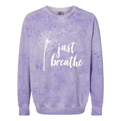 Just Breathe Dandelion Mental Health Colorblast Crewneck Sweatshirt