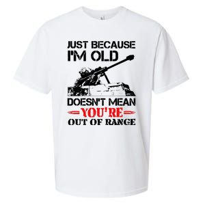 Just Because IM Old DoesnT Mean YouRe Out Of Range Sueded Cloud Jersey T-Shirt