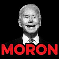 Joe Biden Is An Idiot And A Moron AntiBiden 8676 Pro USA Magnet