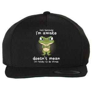 Just Because IM Awake Funny Angry Frog Humor Pajama Wool Snapback Cap