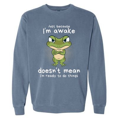 Just Because IM Awake Funny Angry Frog Humor Pajama Garment-Dyed Sweatshirt