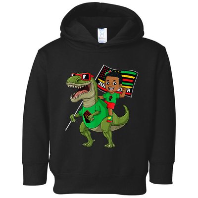 Juneteenth Black King Riding T Rex Dino Funny Toddler Hoodie