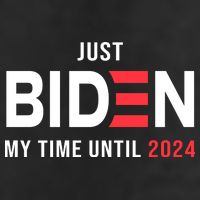 Just Biden My Time Until 2024 7 Panel Mesh Trucker Snapback Hat
