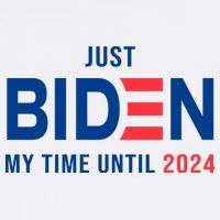 Just Biden My Time Until 2024 T-Shirt