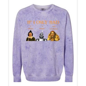 Joe Biden Nancy Pelosi Chuck Schumer Scarecrow Tin Woodman Lion Colorblast Crewneck Sweatshirt