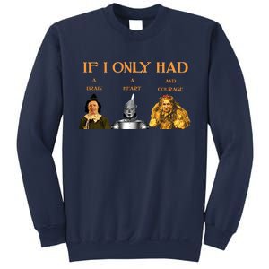 Joe Biden Nancy Pelosi Chuck Schumer Scarecrow Tin Woodman Lion Sweatshirt