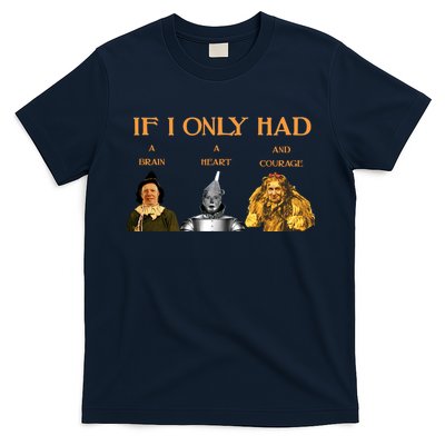 Joe Biden Nancy Pelosi Chuck Schumer Scarecrow Tin Woodman Lion T-Shirt