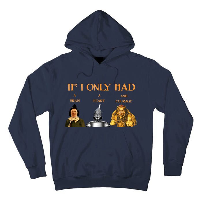 Joe Biden Nancy Pelosi Chuck Schumer Scarecrow Tin Woodman Lion Tall Hoodie