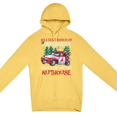 Jolliest Bunch Of Caregivers This Side Of The Nuthouse Xmas Great Gift Premium Pullover Hoodie