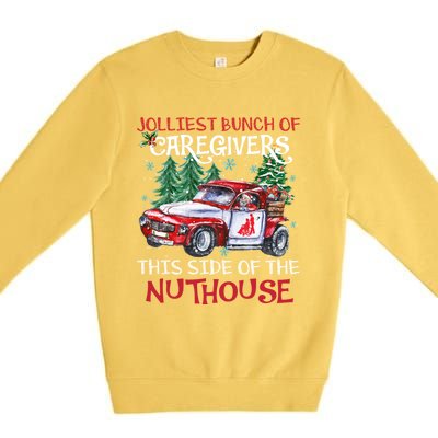 Jolliest Bunch Of Caregivers This Side Of The Nuthouse Xmas Great Gift Premium Crewneck Sweatshirt