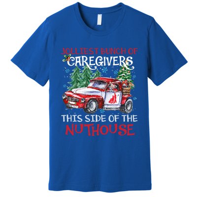 Jolliest Bunch Of Caregivers This Side Of The Nuthouse Xmas Great Gift Premium T-Shirt