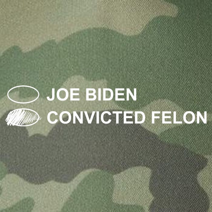 Joe Biden Vs Convicted Felon Funny Ballot Paper Voting Humor Legacy Tie Dye Trucker Hat