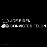 Joe Biden Vs Convicted Felon Funny Ballot Paper Voting Humor Flexfit Unipanel Trucker Cap