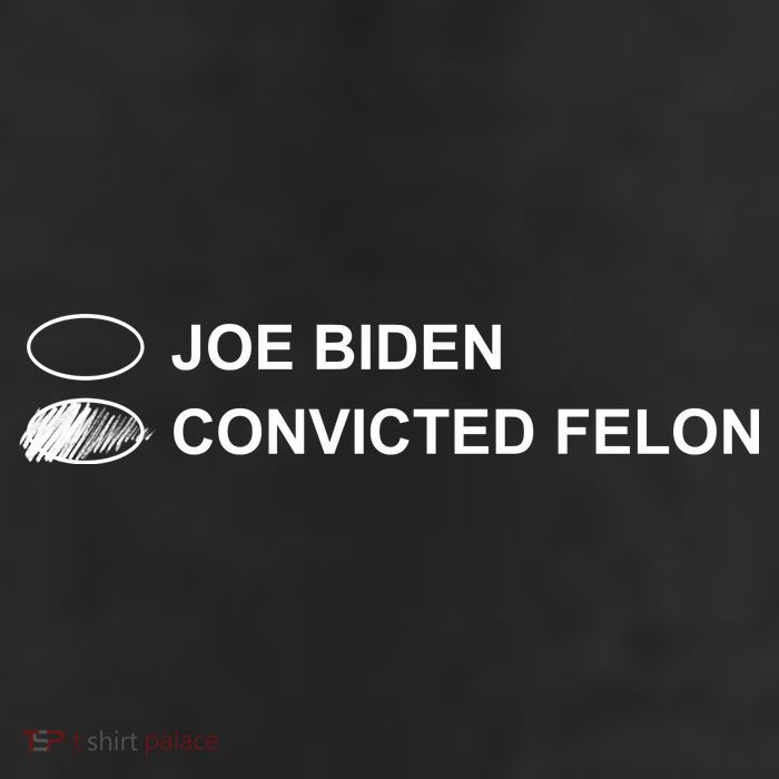 Joe Biden Vs Convicted Felon Funny Ballot Paper Voting Humor Adult Drive Performance Visor