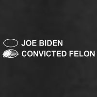 Joe Biden Vs Convicted Felon Funny Ballot Paper Voting Humor Hat
