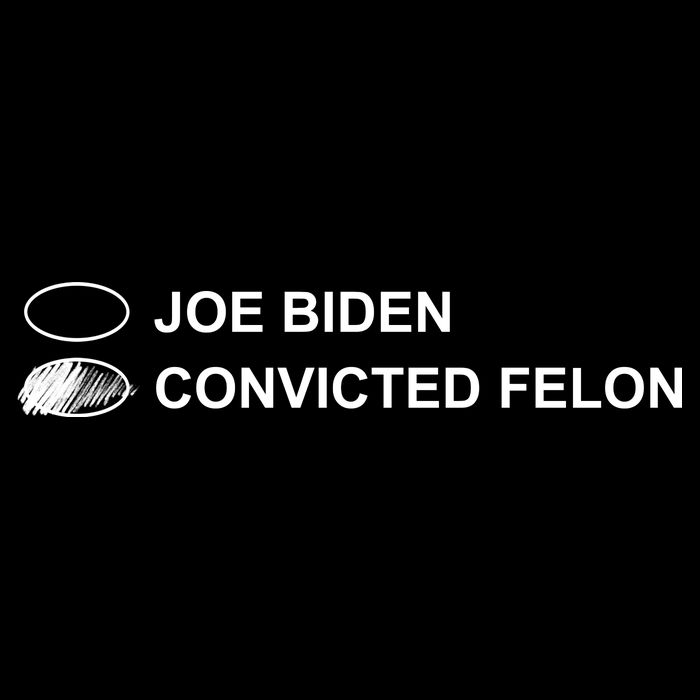 Joe Biden Vs Convicted Felon Funny Ballot Paper Voting Humor Cropped Pullover Crew