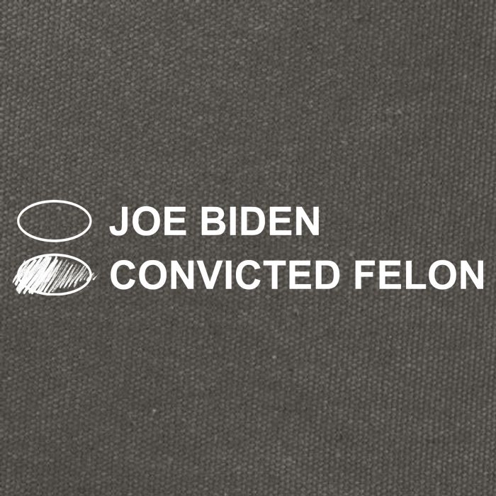 Joe Biden Vs Convicted Felon Funny Ballot Paper Voting Humor Cotton Canvas Backpack