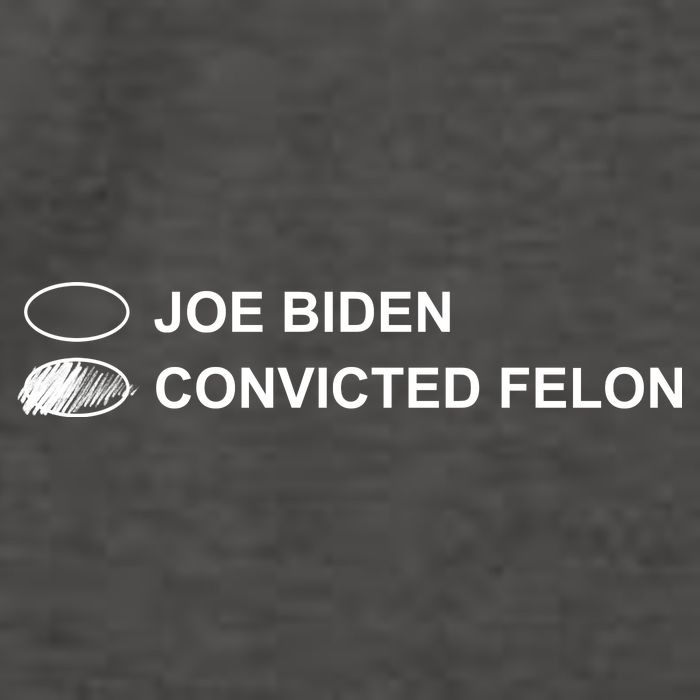 Joe Biden Vs Convicted Felon Funny Ballot Paper Voting Humor Vector Backpack