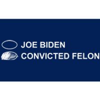 Joe Biden Vs Convicted Felon Funny Ballot Paper Voting Humor Bumper Sticker