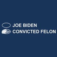 Joe Biden Vs Convicted Felon Funny Ballot Paper Voting Humor 7-Panel Snapback Hat