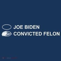 Joe Biden Vs Convicted Felon Funny Ballot Paper Voting Humor Magnet