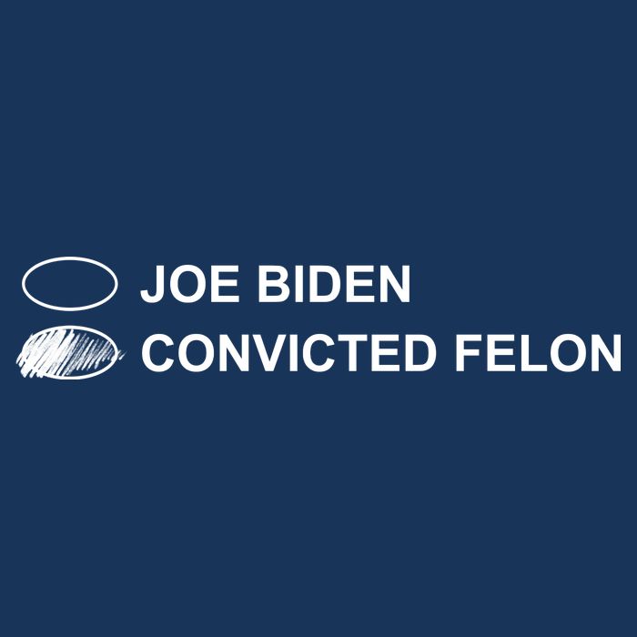 Joe Biden Vs Convicted Felon Funny Ballot Paper Voting Humor Visor