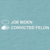 Joe Biden Vs Convicted Felon Funny Ballot Paper Voting Humor Sueded Cloud Jersey T-Shirt