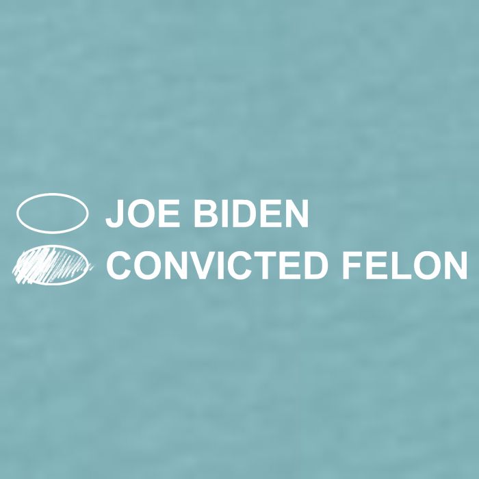 Joe Biden Vs Convicted Felon Funny Ballot Paper Voting Humor Sueded Cloud Jersey T-Shirt