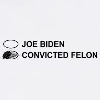 Joe Biden Vs Convicted Felon Funny Ballot Paper Voting Humor Garment-Dyed Sweatshirt