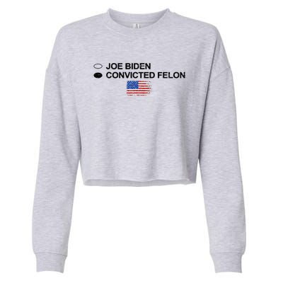 Joe Biden Vs Convicted Felon Funny Ballot Paper Voting Humor Cropped Pullover Crew