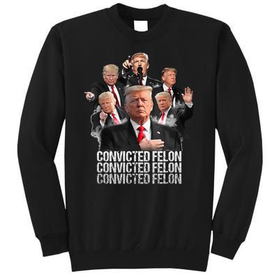 Joe Biden Vs Convicted Felon Funny Ballot Paper Voting Sweatshirt