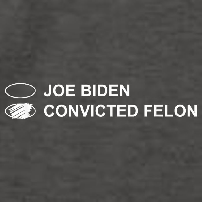 Joe Biden Vs Convicted Felon Funny Ballot Paper Voting Humor Vector Backpack