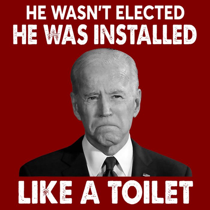 Joe Biden Wasn't Elected He Was Installed Like A Toilet Full-Length Apron With Pockets