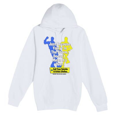 Just Because You're In The Storm Doesnt Mean It's Over Premium Pullover Hoodie