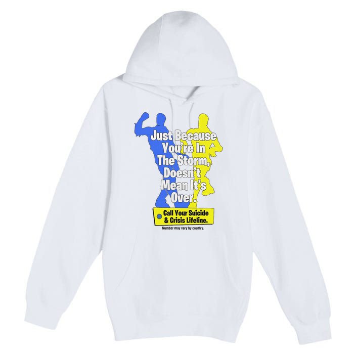 Just Because You're In The Storm Doesnt Mean It's Over Premium Pullover Hoodie