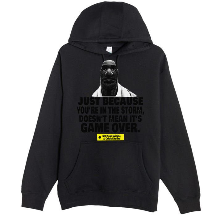 Just Because YouRe In The Storm DoesnT Mean ItS Game Over Premium Pullover Hoodie