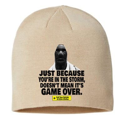 Just Because YouRe In The Storm DoesnT Mean ItS Game Over Sustainable Beanie