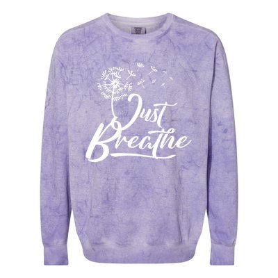 Just Breathe Yoga Meditation Mindfulness Dandelion Wind Funny Gift Colorblast Crewneck Sweatshirt