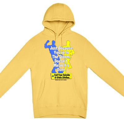 Just Because Youre In The Storm Doesnt Mean Its Over Premium Pullover Hoodie