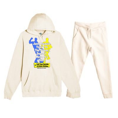 Just Because Youre In The Storm Doesnt Mean Its Over Premium Hooded Sweatsuit Set