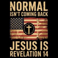 Jesus Christian American Flag Revelation 14 USA Impact Tech Backpack
