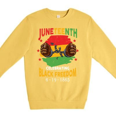 Junenth Celebrate Black Freedom Day Funny Gift Premium Crewneck Sweatshirt