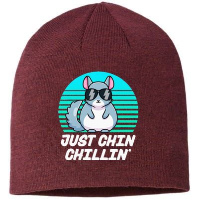 Just Chin Chillin Funny Chinchilla Lovers Kawaii Chinchillin Sustainable Beanie