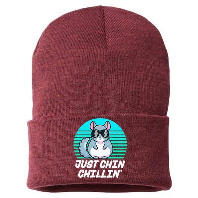 Just Chin Chillin Funny Chinchilla Lovers Kawaii Chinchillin Sustainable Knit Beanie