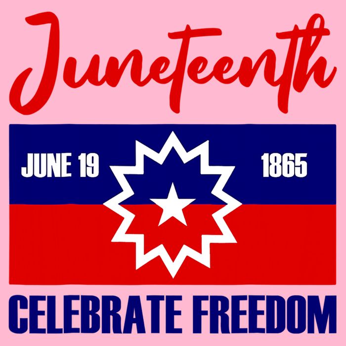 Juneteenth Celebrate Freedom Red White Blue Free Black Slave Toddler T-Shirt