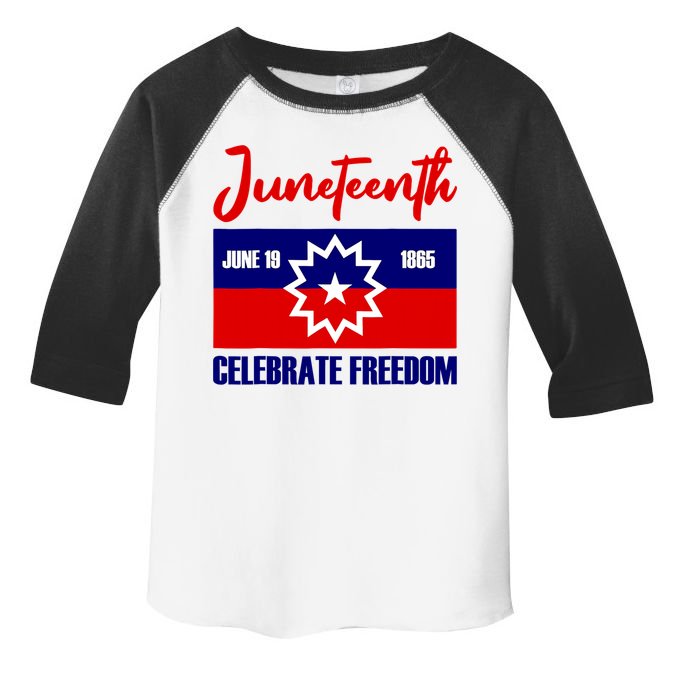 Juneteenth Celebrate Freedom Red White Blue Free Black Slave Toddler Fine Jersey T-Shirt