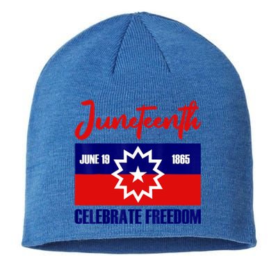 Juneteenth Celebrate Freedom Red White Blue Free Black Slave Sustainable Beanie