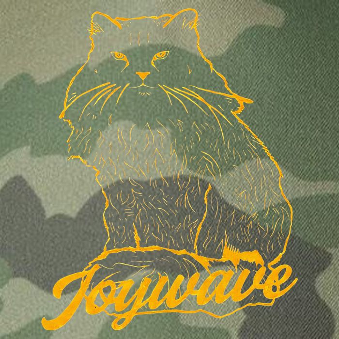 Joywave Cat Leave Me The Fluff Alone Legacy Tie Dye Trucker Hat