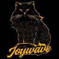 Joywave Cat Leave Me The Fluff Alone Button