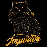Joywave Cat Leave Me The Fluff Alone Visor